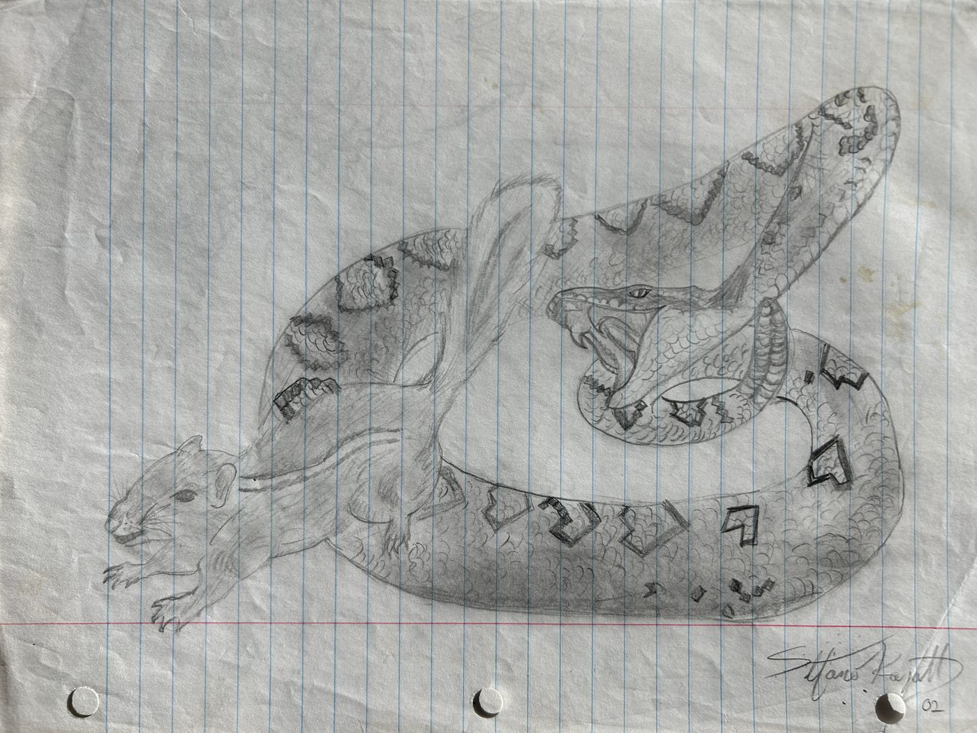 A rattlesnake striking at a fleeing rat, pencil on lined paper