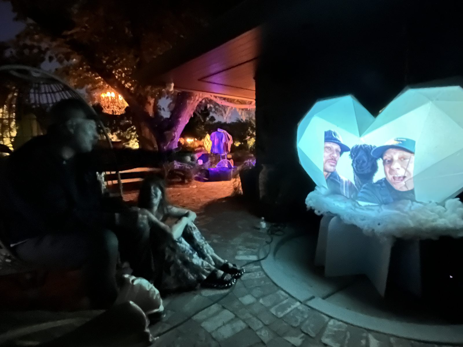 Guests seated at night watching a tribute of two friends and their dog appear on the heart
