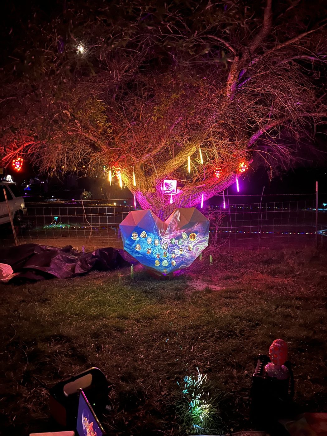 The heart re-sited beneath a lit tree in the open air, portraits glowing blue against the night